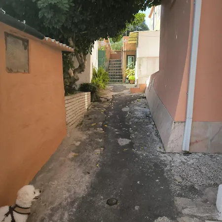 Apartman Amalia *